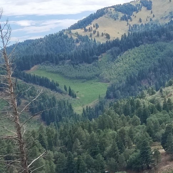 Meet your Posher, Kalee - Picture 2 of 3